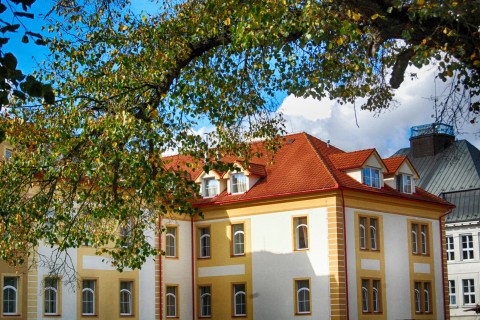 Švecova building